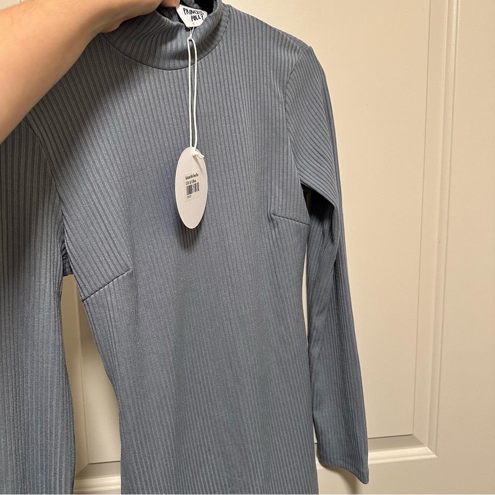 NWT Princess Polly Kehlanae Mock Neck Ribbed Long Sleeve Mini Dress